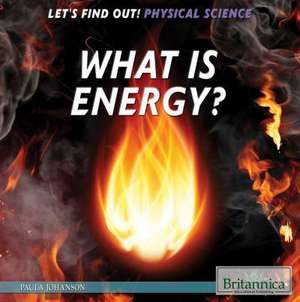 What Is Energy? de Paula Johanson