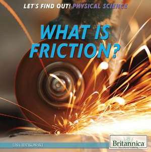 What Is Friction? de Lisa Idzikowski