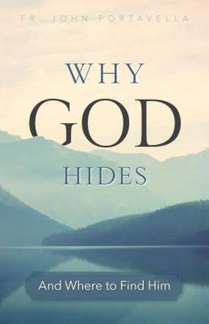 Why God Hides de Juan C Portavella