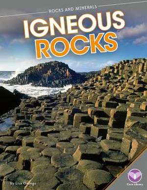 Igneous Rocks de Lisa Owings