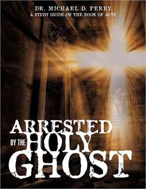 Arrested by the Holy Ghost de Michael D. Perry