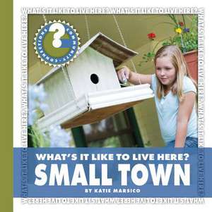 What's It Like to Live Here? Small Town de Katie Marsico