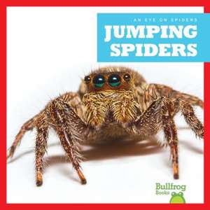 Jumping Spiders de Jenna Lee Gleisner