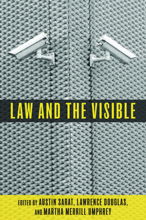 Law and the Visible de Austin Sarat