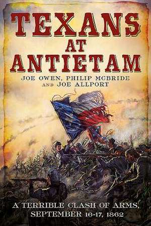 Texans at Antietam de Joe Owen