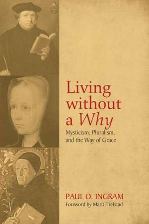 Living Without a Why: Mysticism, Pluralism, and the Way of Grace de Paul O. Ingram