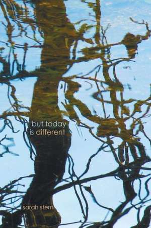 But Today Is Different de Sarah Stern