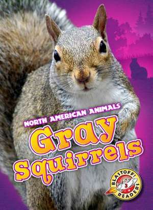 Gray Squirrels de Christina Leaf