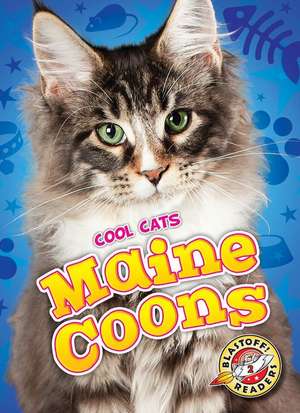 Maine Coons de Rebecca Felix