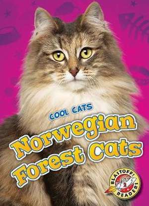 Norwegian Forest Cats de Domini Brown