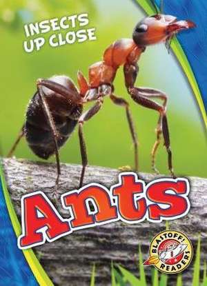 Ants de Patrick Perish