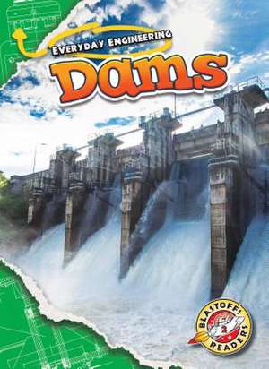 Dams de Chris Bowman