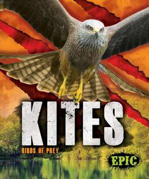 Kites de Nathan Sommer