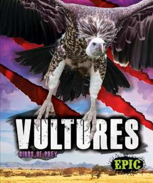 Vultures de Nathan Sommer