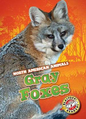 Gray Foxes de Rebecca Sabelko