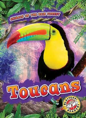 Toucans de Rachel Grack