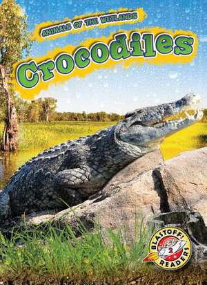 Crocodiles de Rachel Grack