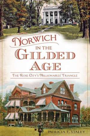 Norwich in the Gilded Age: The Rose City's Millionaires' Triangle de Patricia F. Staley