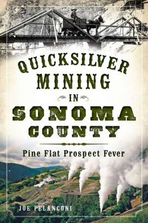 Quicksilver Mining in Sonoma County: Pine Flat Prospect Fever de Joe Pelanconi