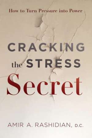 Cracking the Stress Secret: How to Turn Pressure Into Power de Amir A. Rashidian