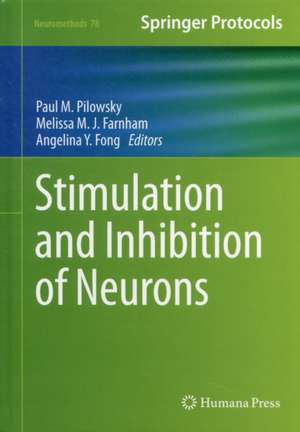 Stimulation and Inhibition of Neurons de Paul M. Pilowsky