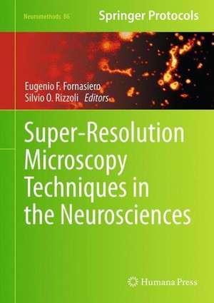 Super-Resolution Microscopy Techniques in the Neurosciences de Eugenio F. Fornasiero