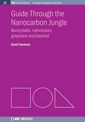 Guide Through the Nanocarbon Jungle de David Tomanek