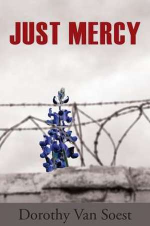 Just Mercy de Dorothy Van Soest