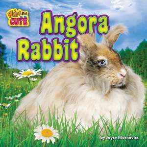 Angora Rabbit de Joyce L. Markovics