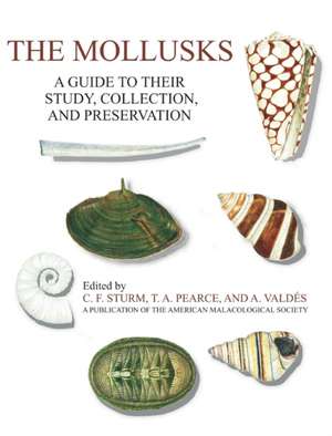 The Mollusks de C. F. Sturm