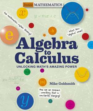 Algebra to Calculus de Mike Goldsmith