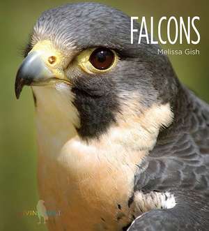 Falcons de Melissa Gish