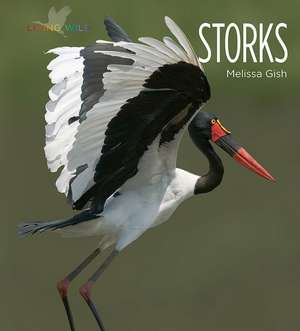 Storks de Melissa Gish