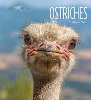 Ostriches de Melissa Gish