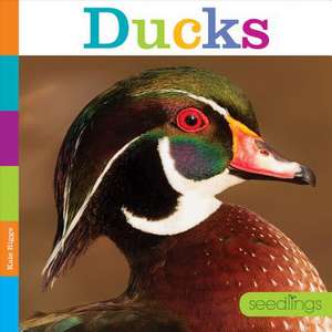 Ducks de Kate Riggs