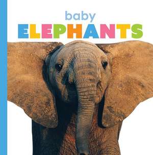 Baby Elephants de Kate Riggs