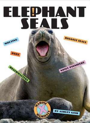 Elephant Seals de Ashley Gish