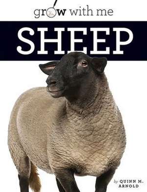 Sheep de Quinn M. Arnold