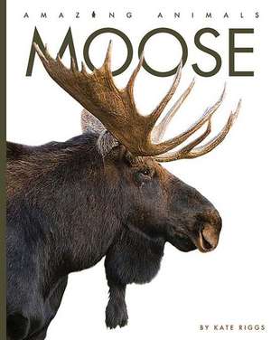 Moose de Kate Riggs