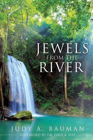 Jewels from the River de Judy a. Bauman