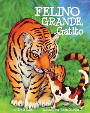 Felino Grande, Gatito de Scotti Cohn