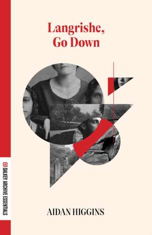 Langrishe, Go Down de Aidan Higgins