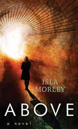 Above de Isla Morley