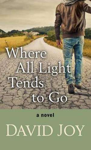 Where All Light Tends to Go de David Joy