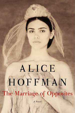 The Marriage of Opposites de Alice Hoffman