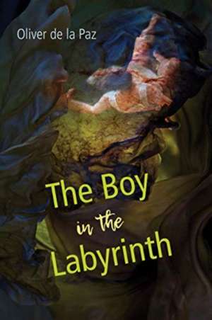 The Boy in the Labyrinth de Oliver De La Paz