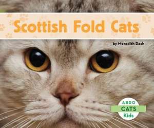 Dash, M: Scottish Fold Cats