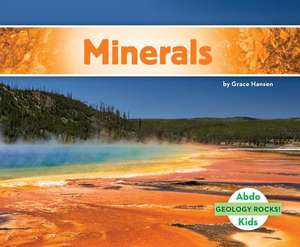 Minerals de Grace Hansen