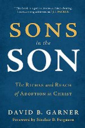 Sons in the Son de David B. Garner