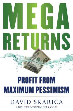 Mega Returns de David Skarica